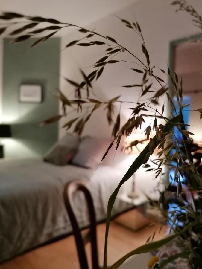 Mont-près-Chambord La Robiniere Maison D'Hotes מראה חיצוני תמונה