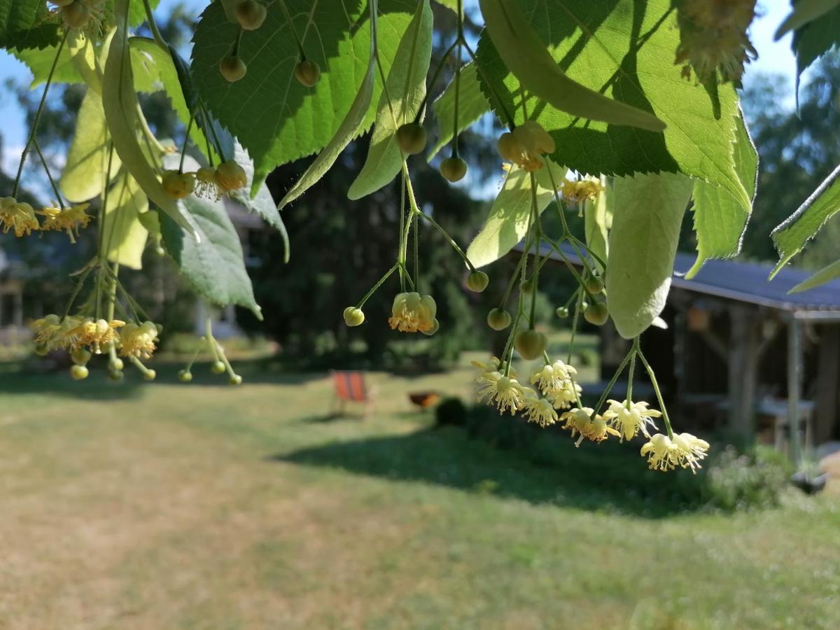 Mont-près-Chambord La Robiniere Maison D'Hotes מראה חיצוני תמונה